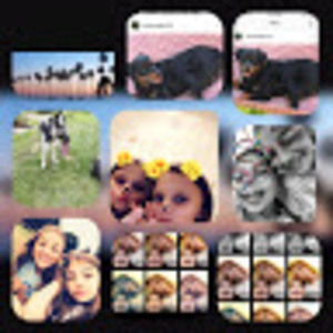 Meet your Posher, Mya